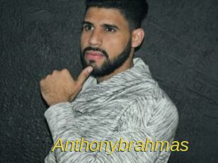 anthonybrahmas Archive DVD ORG
