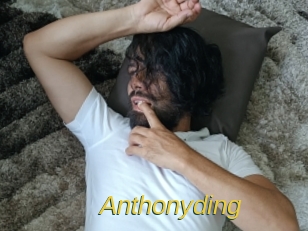anthonyding Archive DVD ORG