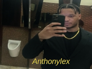 anthonylex Archive DVD ORG