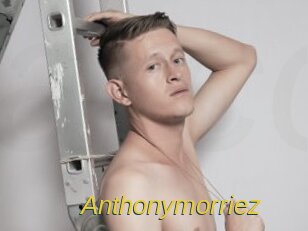 Anthonymorriez