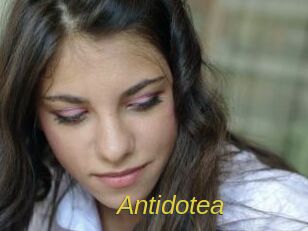 Antidotea