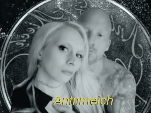 Antnmeich