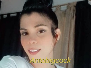 Antobigcock