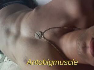 Antobigmuscle
