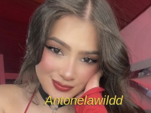 antonelawildd Archive DVD ORG
