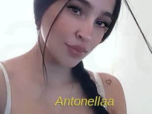 antonellaa Archive DVD ORG