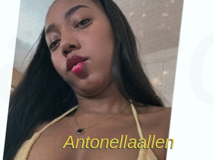 antonellaallen Archive DVD ORG