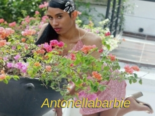 Antonellabarbie