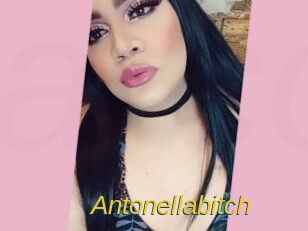 Antonellabitch