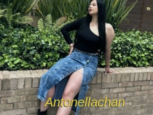 Antonellachan