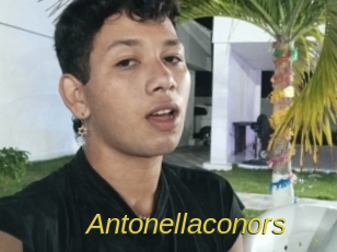 Antonellaconors