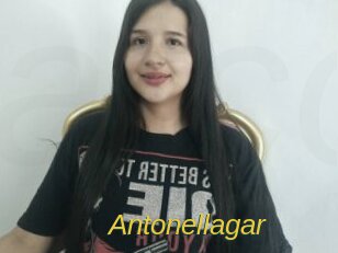 Antonellagar
