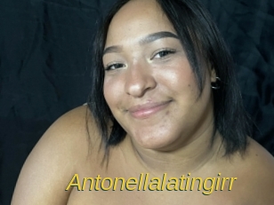 Antonellalatingirr