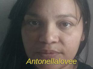 Antonellalovee
