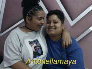Antonellamaya