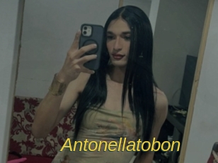 Antonellatobon