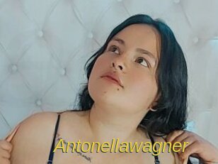 antonellawagner Archive DVD ORG