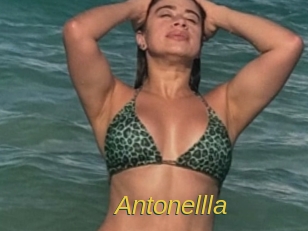 Antonellla