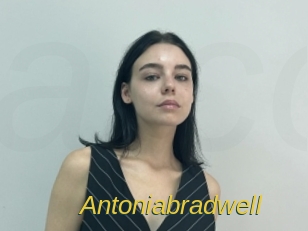 Antoniabradwell