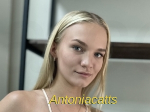 Antoniacatts