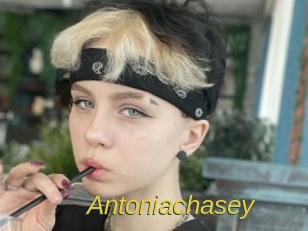 Antoniachasey