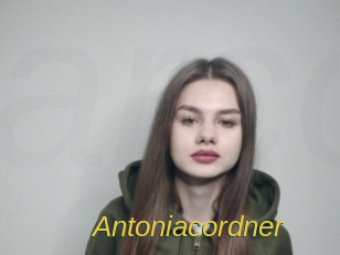 Antoniacordner