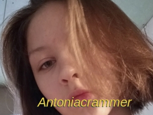 Antoniacrammer