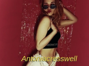 antoniacresswell Archive DVD ORG
