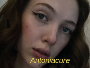 Antoniacure