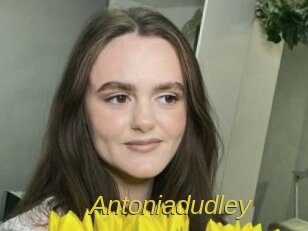 Antoniadudley