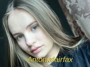 antoniafairfax Archive DVD ORG