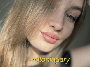 antoniagary Archive DVD ORG