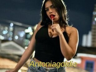 Antoniagoldie
