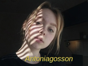 Antoniagosson