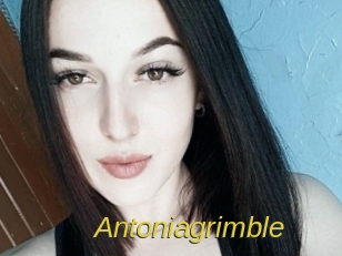 Antoniagrimble