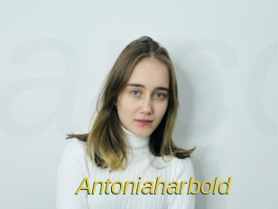 Antoniaharbold