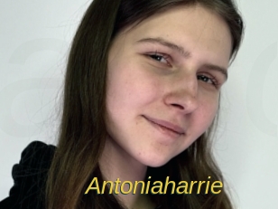 antoniaharrie Archive DVD ORG