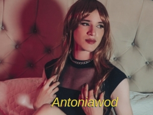 Antoniawod