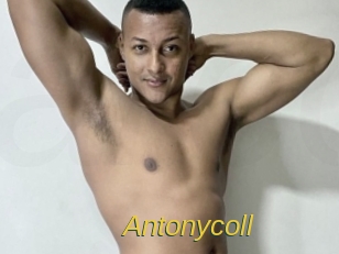 antonycoll Archive DVD ORG