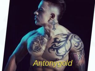 Antonygold