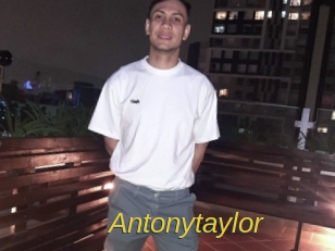 antonytaylor Archive DVD ORG