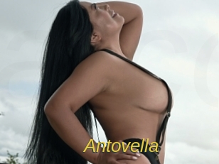 Antovella