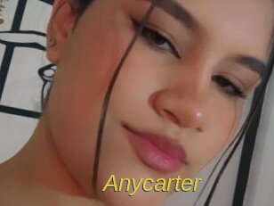 anycarter Archive DVD ORG