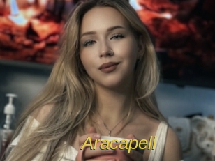 aracapell Archive DVD ORG