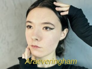 araeveringham Archive DVD ORG