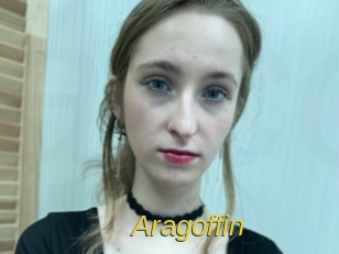 aragoffin Archive DVD ORG
