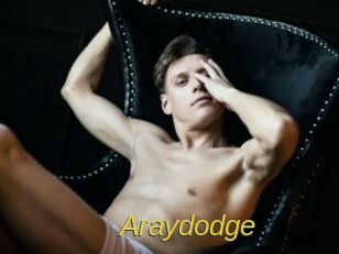 Araydodge