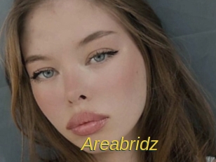 Areabridz