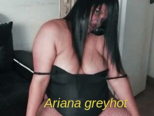 Ariana_greyhot