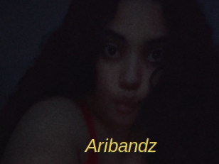aribandz Archive DVD ORG